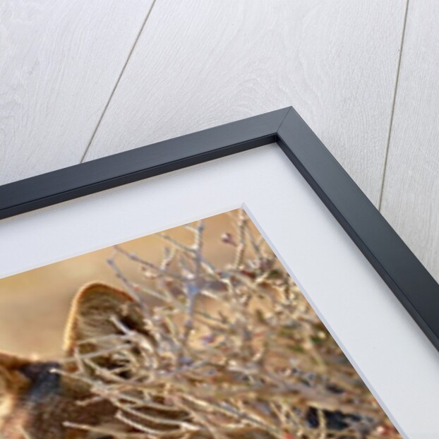 I Can See You, 2017 by Eric Meyer