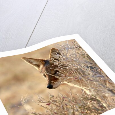 I Can See You, 2017 by Eric Meyer