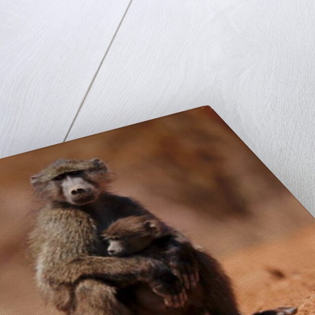 Mother and child, 2019 by Eric Meyer