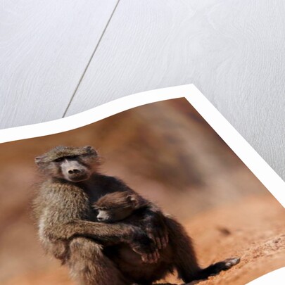 Mother and child, 2019 by Eric Meyer