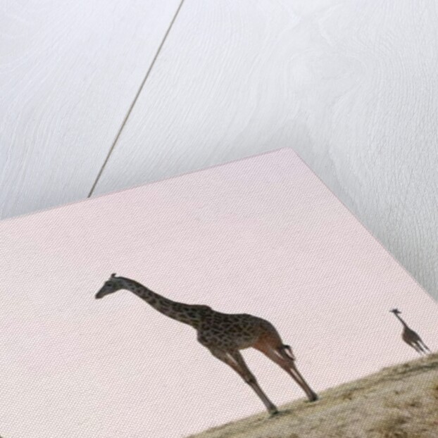 Three, 2019 by Eric Meyer