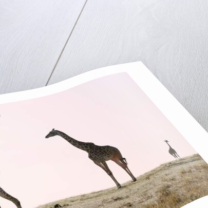 Three, 2019 by Eric Meyer