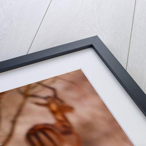 Baboon mother, 2019 by Eric Meyer