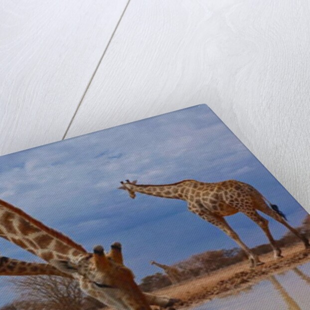 Getting Down, 2019 by Eric Meyer