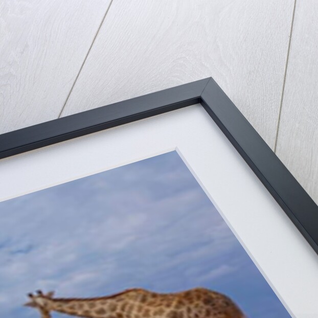 Getting Down, 2019 by Eric Meyer