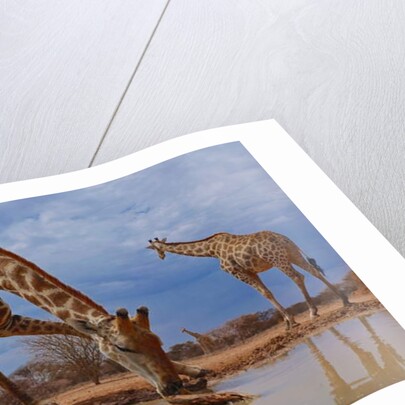 Getting Down, 2019 by Eric Meyer