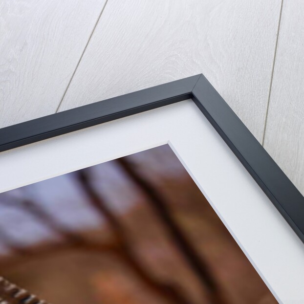 Oryx Drinking, Mount Etjo, 2019 by Eric Meyer