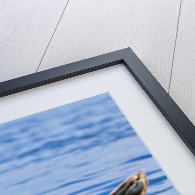 Grey ?, 2019 by Eric Meyer