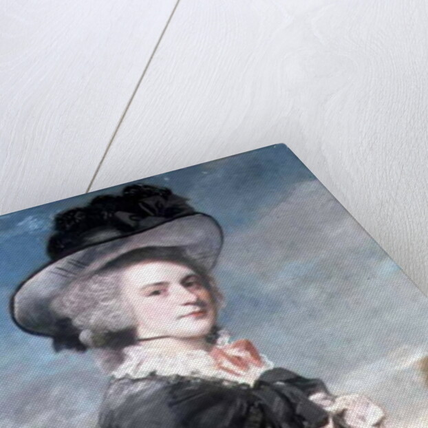 Portrait of Miss Keppel, afterwards Mrs Thomas Meyrick, 1782 by Joshua Reynolds