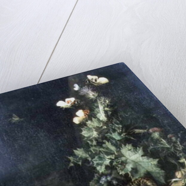 Still Life with a Snake by Elias van den Broeck