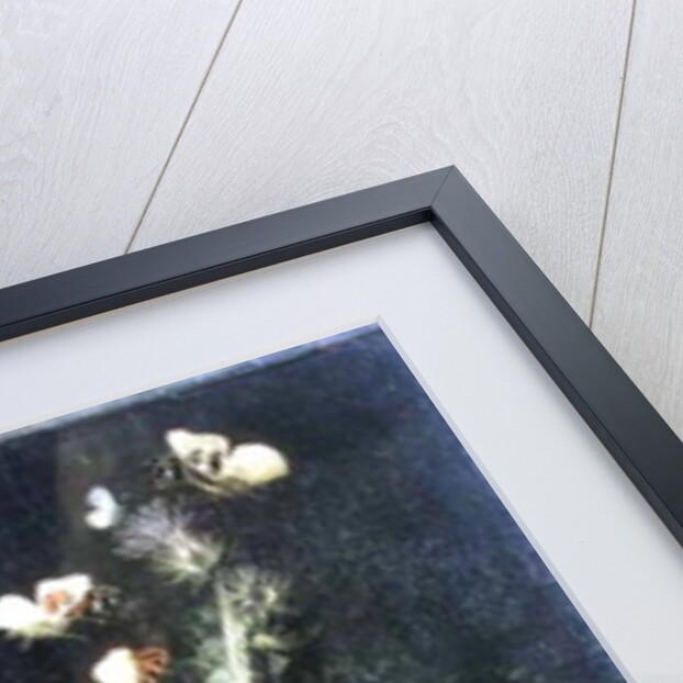 Still Life with a Snake by Elias van den Broeck