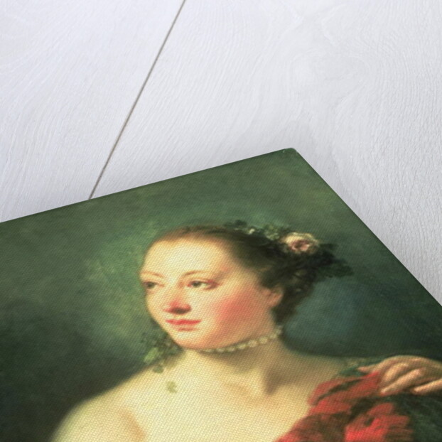 A Young Woman With a Macaw, 18th century by Giovanni Battista Tiepolo