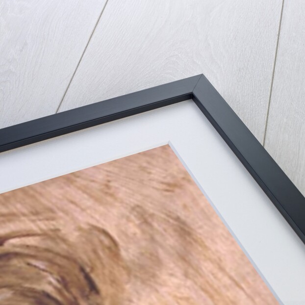 Portrait of Maria, Lady Chalcott, 19th century by David Wilkie