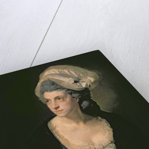 Portrait of Mary Thomas, the Artist's Wife, 18th century by Johann Zoffany