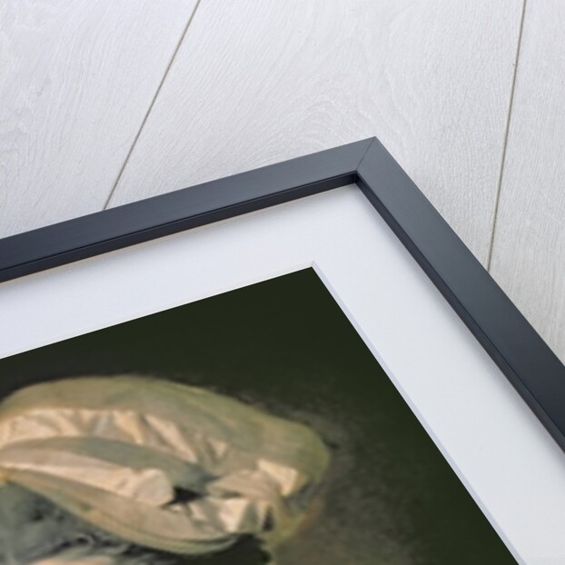 Portrait of Mary Thomas, the Artist's Wife, 18th century by Johann Zoffany