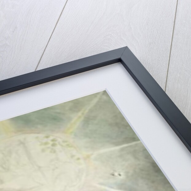 Dante and Statius Sleeping, Virgil Watching by William Blake