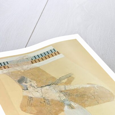 Fragment of a fresco depicting a Taureador from the palace at Knossos, Late Minoan I Period by Greek Greek