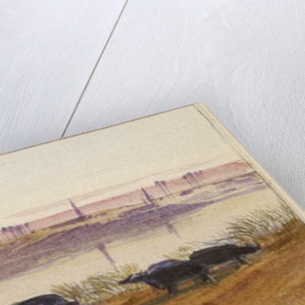 El Hon, Egypt, 1884 by Edward Lear