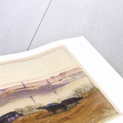 El Hon, Egypt, 1884 by Edward Lear