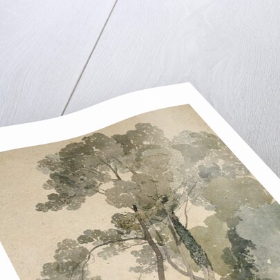 Near Brandsby, Yorkshire, 1865 by John Sell Cotman