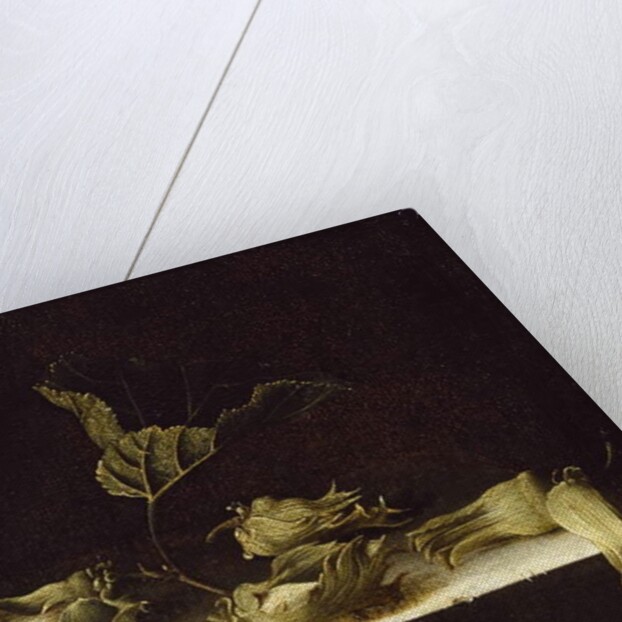 Still Life with Hazel-nuts, 1696 by Adrian Coorte