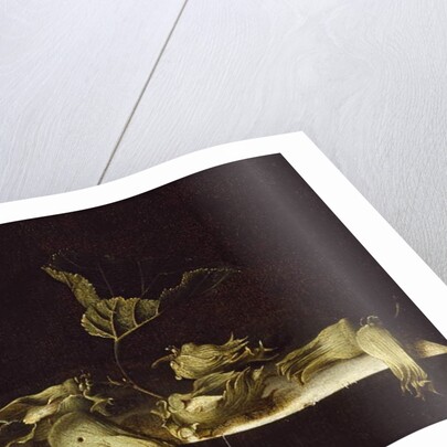 Still Life with Hazel-nuts, 1696 by Adrian Coorte