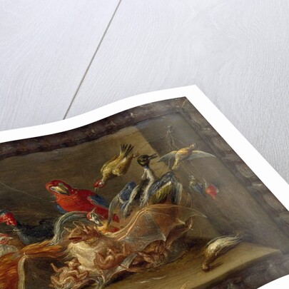 Decorative Still-Life Composition with Birds and Two Bats by Jan van the Elder Kessel