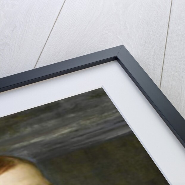 Miss Eliza Ann Ogilvy, 1866 by George Frederic Watts