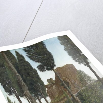 The Grave of Shelley by Walter Crane