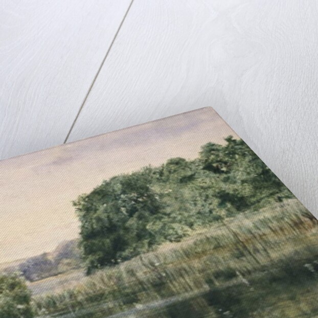 View of a Lake with Trees, 1857 by John William Inchbold