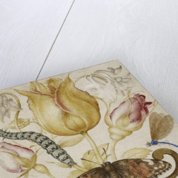 Arrangement of Flowers in a Vase, with Insects, 1594 by Joris Hoefnagel