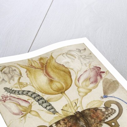 Arrangement of Flowers in a Vase, with Insects, 1594 by Joris Hoefnagel