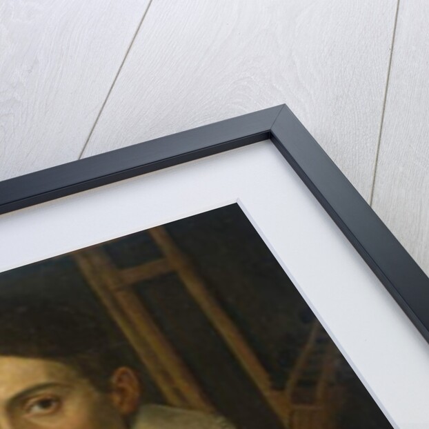 Portrait of a Musician, c. 1570-1590 by Italian School