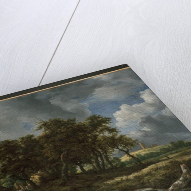 Landscape near Muiderberg, early 1650s by Jacob Isaaksz. or Isaacksz. van Ruisdael