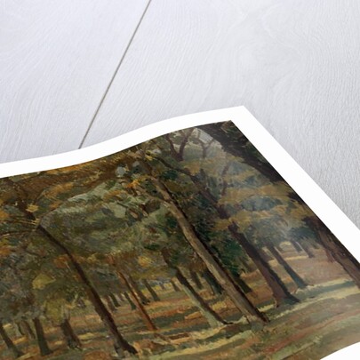 Richmond Park, 1914 by Spencer Frederick Gore