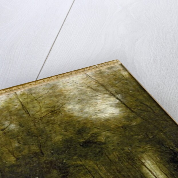 Montfermeuil, the Brook in the Wood, 1867 by Jean Baptiste Camille Corot