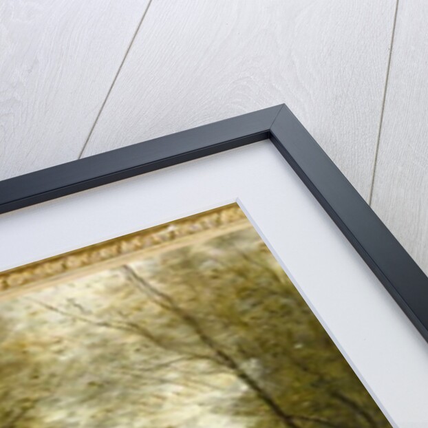 Montfermeuil, the Brook in the Wood, 1867 by Jean Baptiste Camille Corot