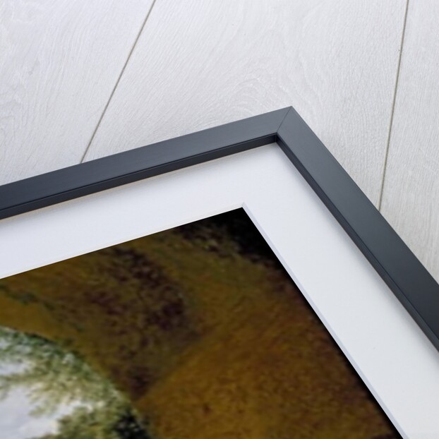 A View of a Garden, seen from within a Roman Vault, 1802 - 1824 by Francois-Marius Granet