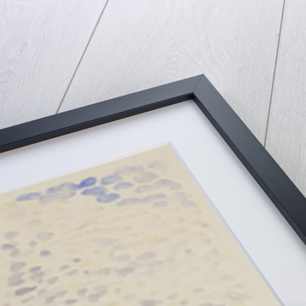 La Barrière, Eragny Meadows, c.1886 by Lucien Pissarro