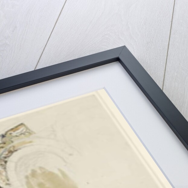 Part of the Façade of the destroyed Church of San Michele in Foro, Lucca, sketched in Colour, 30 June - 1 July 1846 by John Ruskin