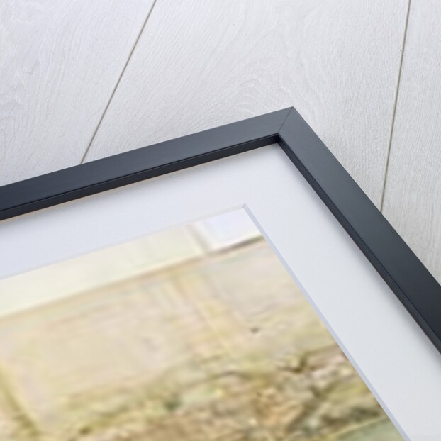 Malaga, 16th century by Anthonis van den Wyngaerde