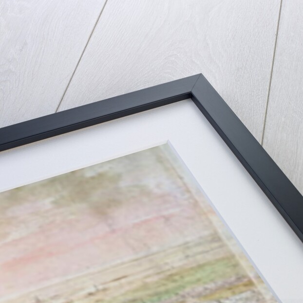 Panoramic View of Brussels, 16th century by Anthonis van den Wyngaerde