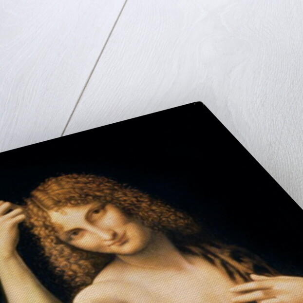 St. John the Baptist, 16th century by Leonardo da Vinci
