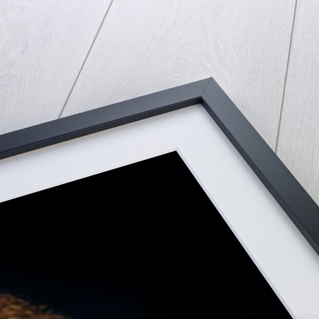 St. John the Baptist, 16th century by Leonardo da Vinci