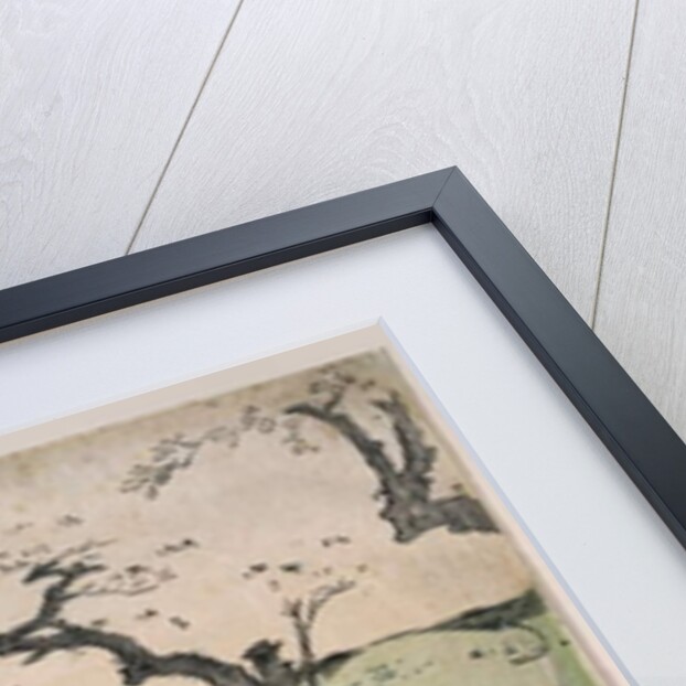 Cherry blossom viewing at Mount Asuka, 1785 by Torii Kiyonaga