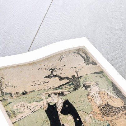 Cherry blossom viewing at Mount Asuka, 1785 by Torii Kiyonaga
