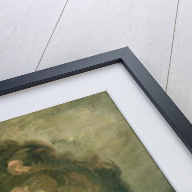 Portrait of Miss H.M. de Cardonnel Lawson, 19th century by Thomas Barker of Bath