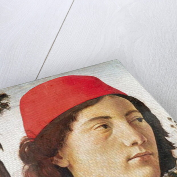 Portrait of a Young Man, 15th century by Domenico Ghirlandaio