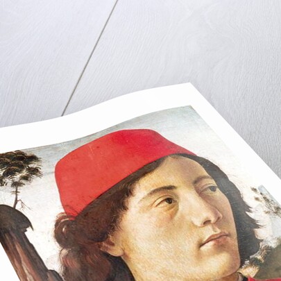Portrait of a Young Man, 15th century by Domenico Ghirlandaio