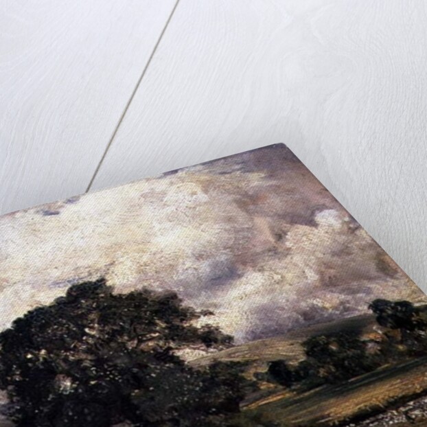 Water Meadows Near Salisbury, 19th century by John Constable